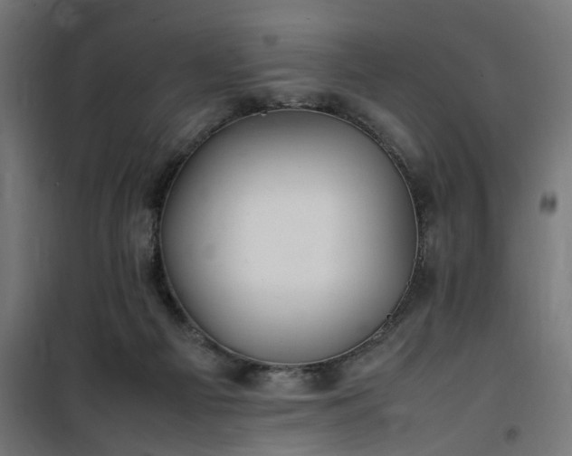 X0000100490121200806201701