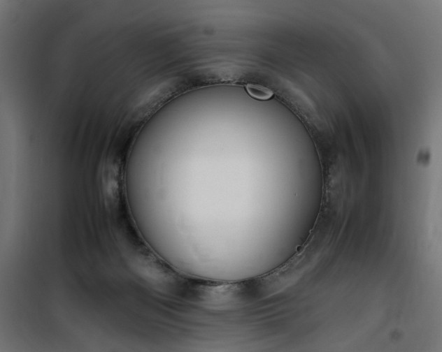 X0000100490122200806201701