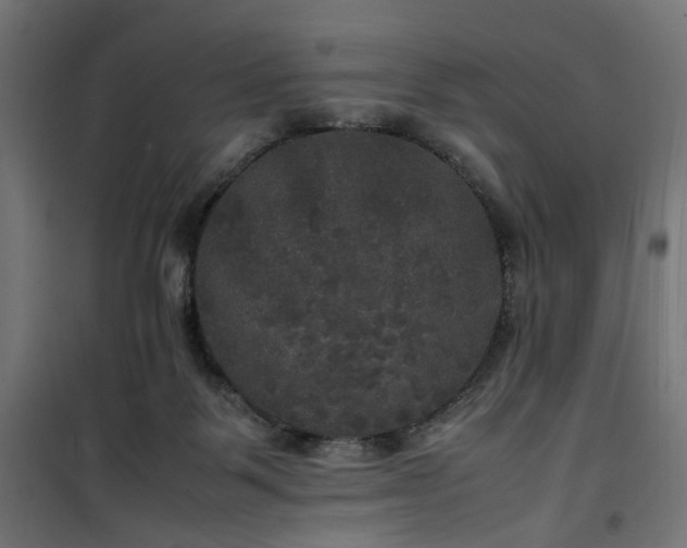 X0000100490123200806201701