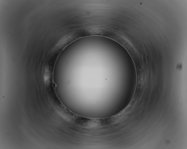 X0000100490124200806201701