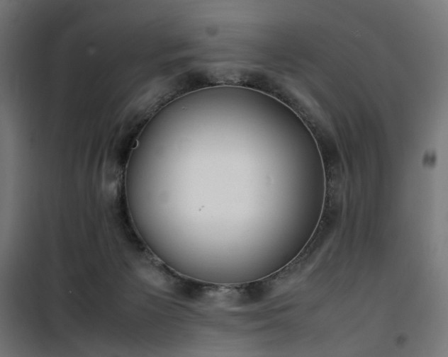 X0000100490125200806201701