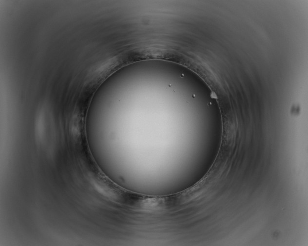 X0000100490126200806201701