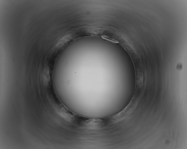 X0000100490128200806201701