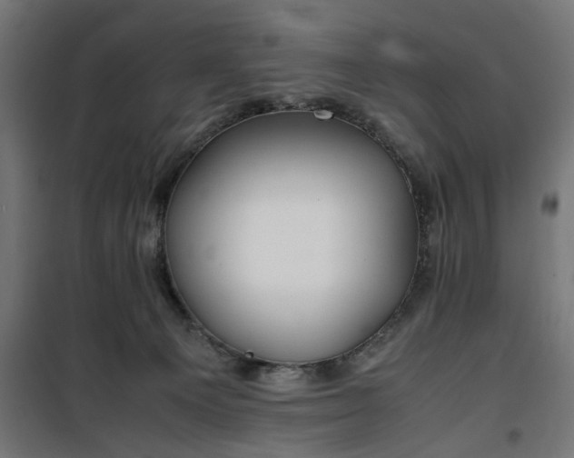 X0000100490129200806201701