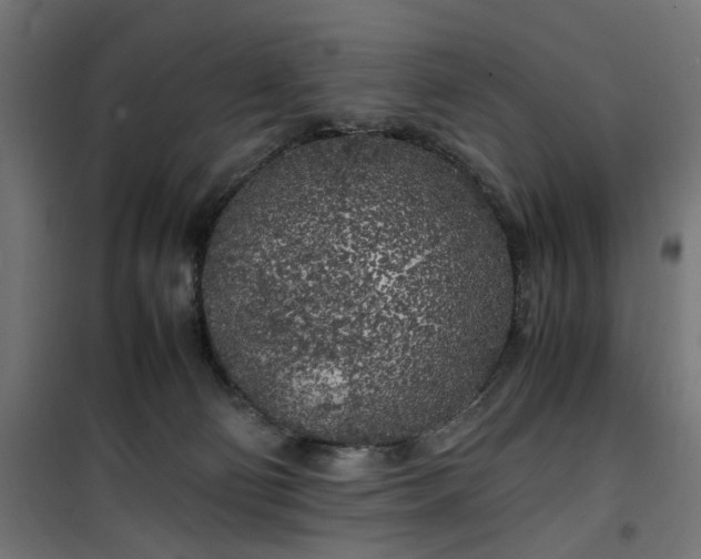 X0000100490130200806201701