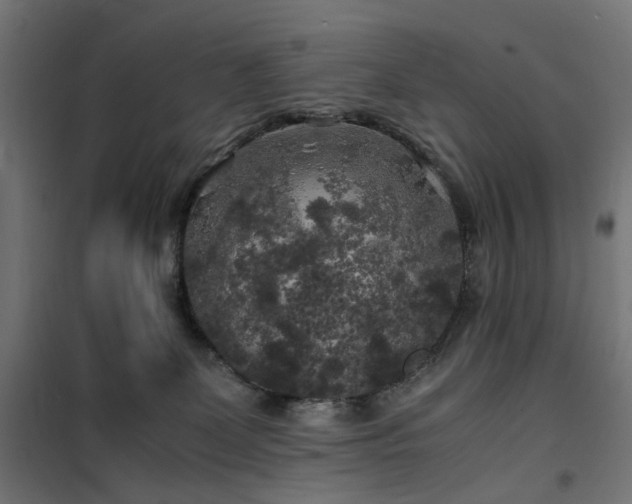 X0000100490131200806201701