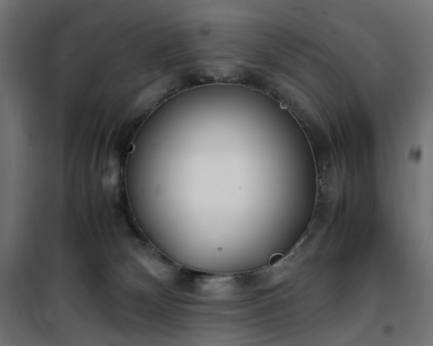 X0000100490132200806201701