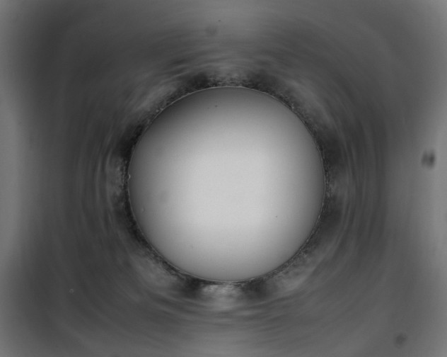 X0000100490133200806201701