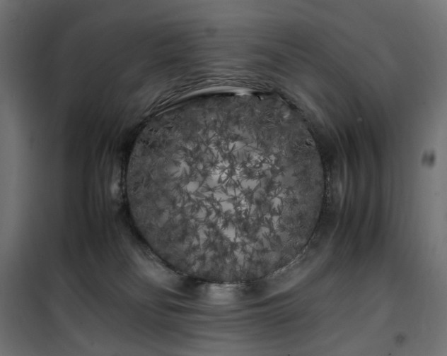 X0000100490134200806201701