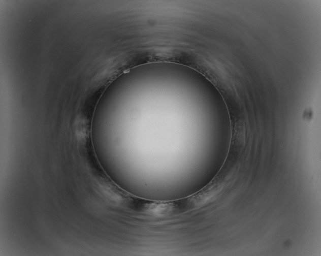 X0000100490135200806201701