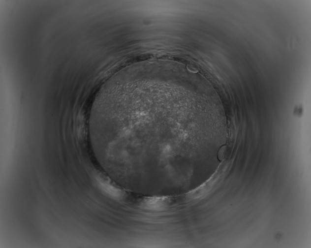 X0000100490136200806201701