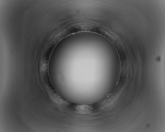 X0000100490137200806201701