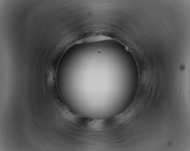 X0000100490138200806201701