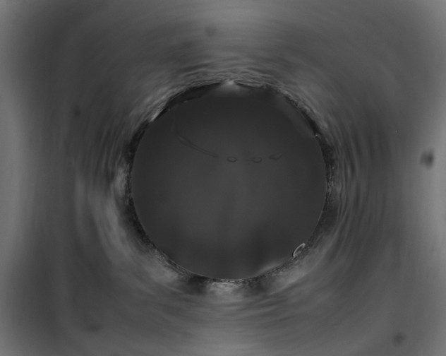 X0000100490139200806201701