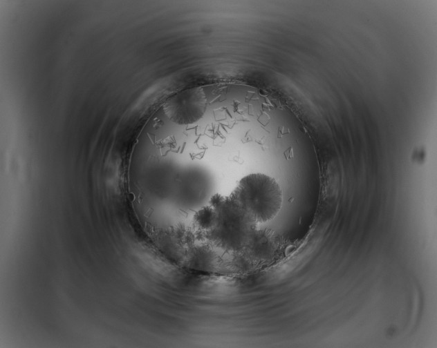X0000100490140200806201701