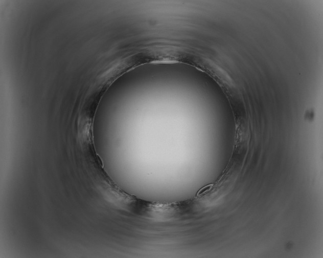 X0000100490141200806201701