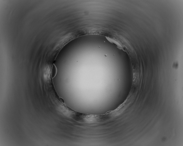 X0000100490142200806201701