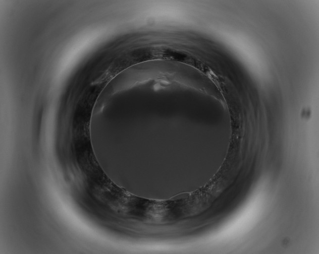 X0000100490143200806201701