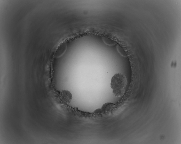 X0000100490144200806201701