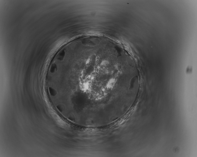 X0000100490145200806201700