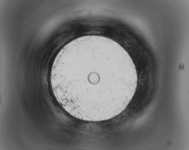 X0000100490146200806201700