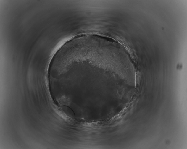 X0000100490147200806201700