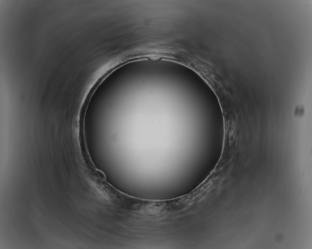 X0000100490148200806201700