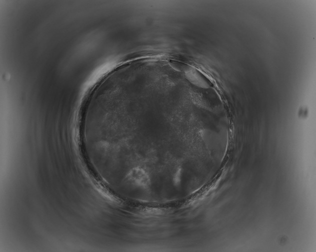 X0000100490149200806201700