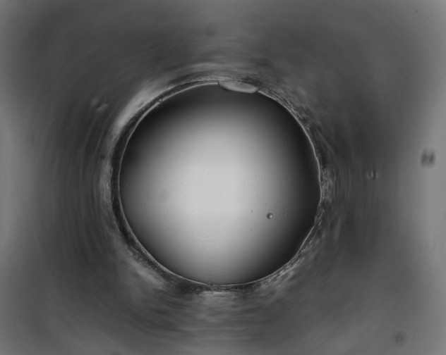 X0000100490150200806201700