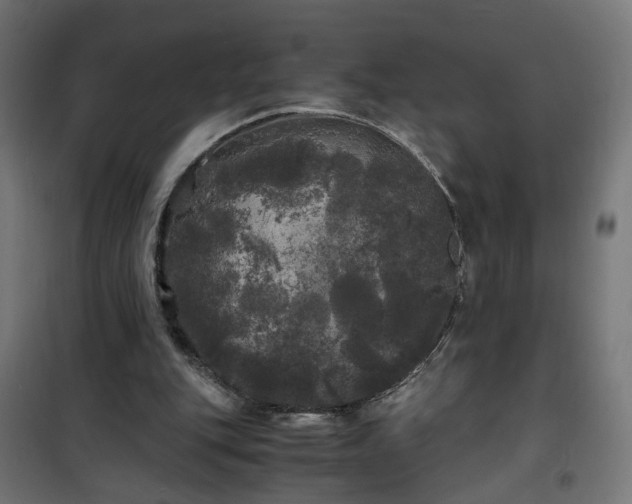 X0000100490151200806201700