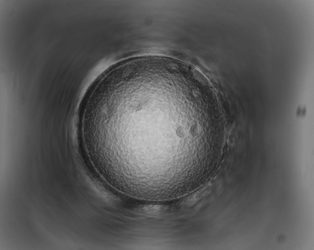 X0000100490152200806201700