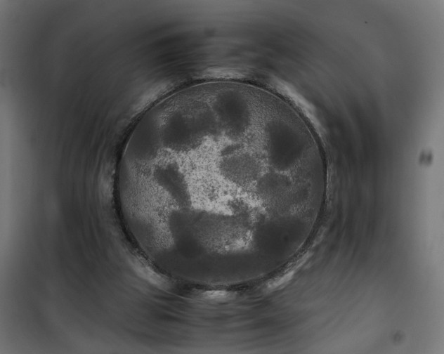 X0000100490153200806201700