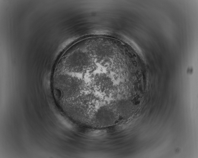 X0000100490155200806201700