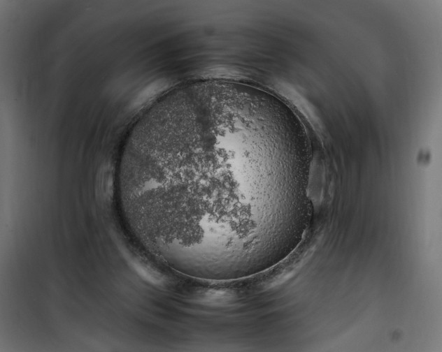 X0000100490157200806201700