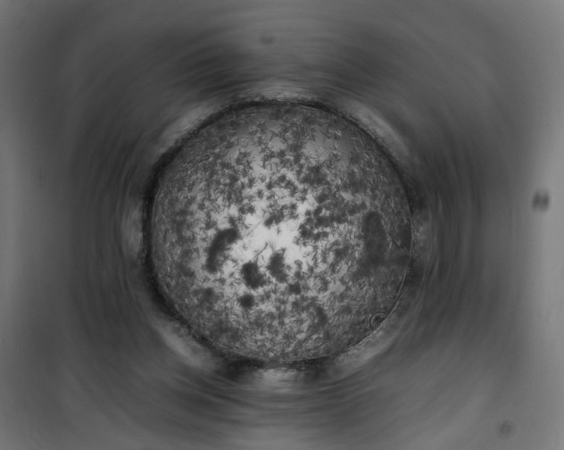 X0000100490158200806201700