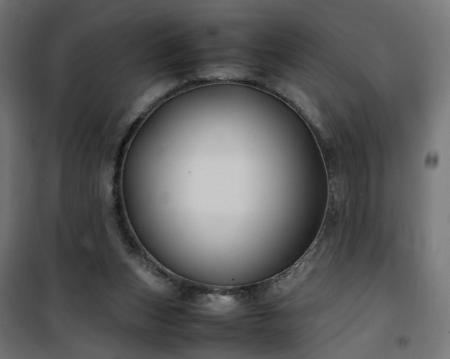 X0000100490159200806201700