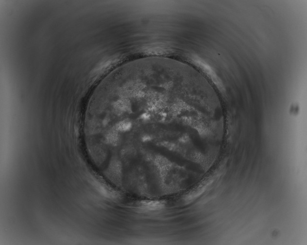 X0000100490161200806201700