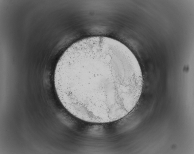 X0000100490162200806201700