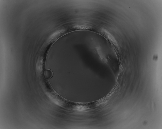 X0000100490163200806201701