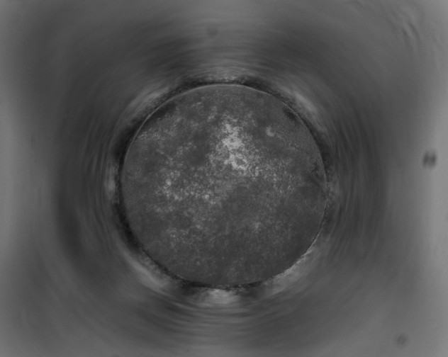 X0000100490166200806201701