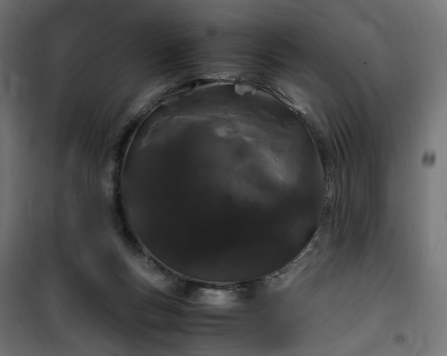 X0000100490167200806201701