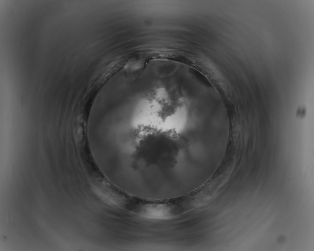 X0000100490169200806201701