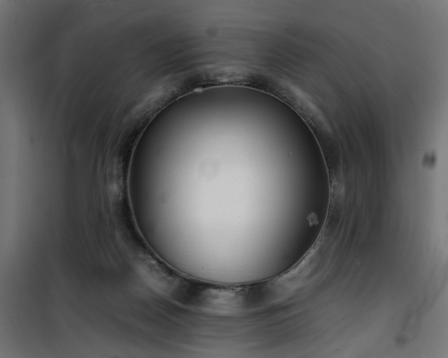 X0000100490170200806201701