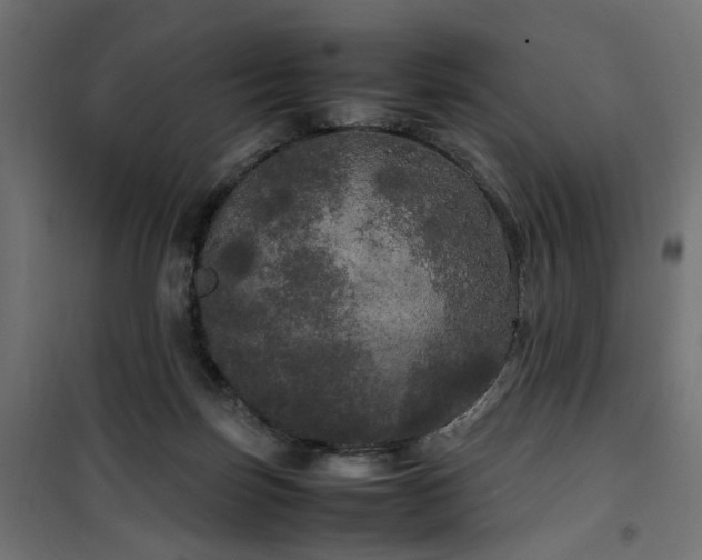 X0000100490171200806201701