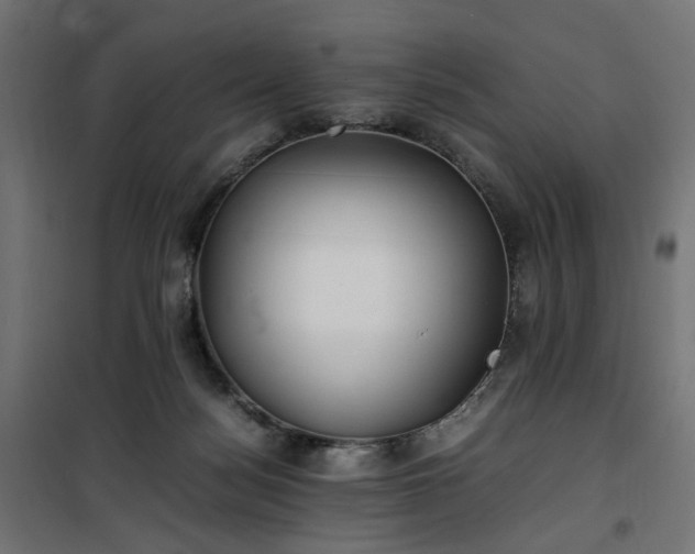 X0000100490172200806201701