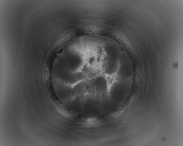 X0000100490173200806201701