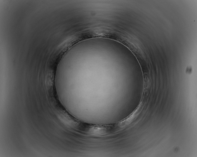 X0000100490174200806201701