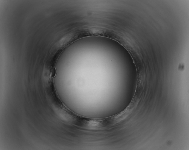 X0000100490176200806201701