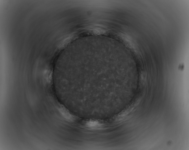 X0000100490177200806201701