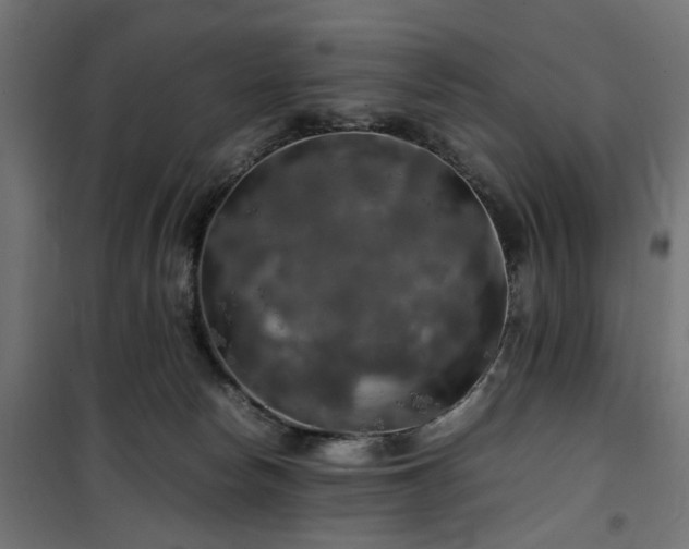 X0000100490178200806201701